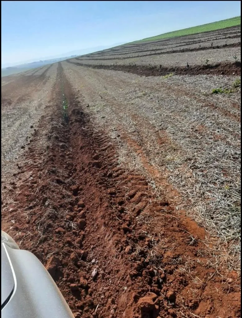 Fazenda à venda de 128 ha em São João da Boa Vista, SP, Brasil