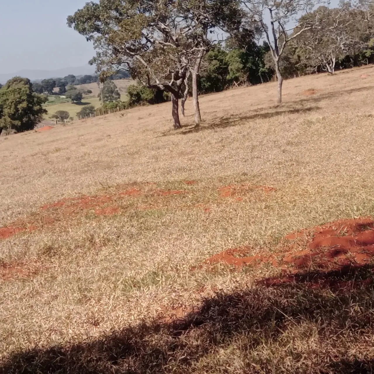 Fazenda à venda de 5 ha em Lavras, MG, Brasil