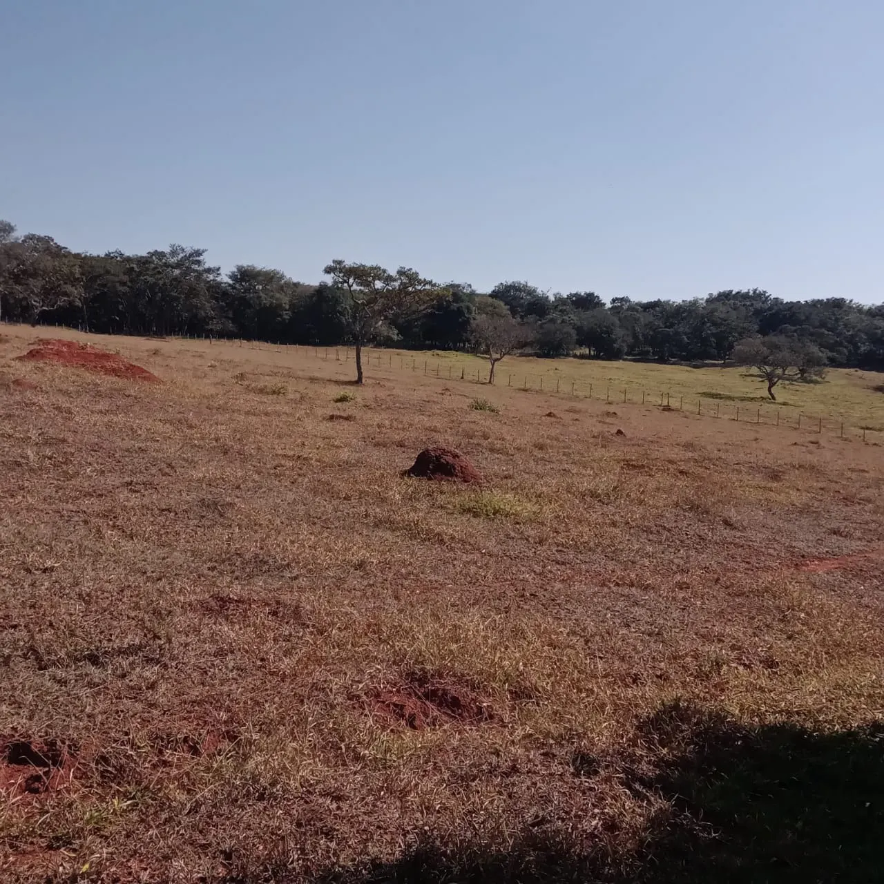 Fazenda à venda de 5 ha em Lavras, MG, Brasil