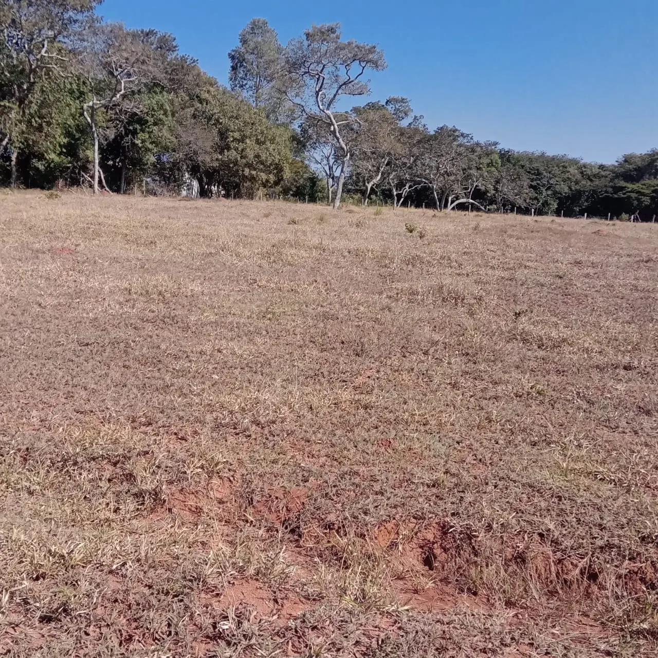 Fazenda à venda de 5 ha em Lavras, MG, Brasil