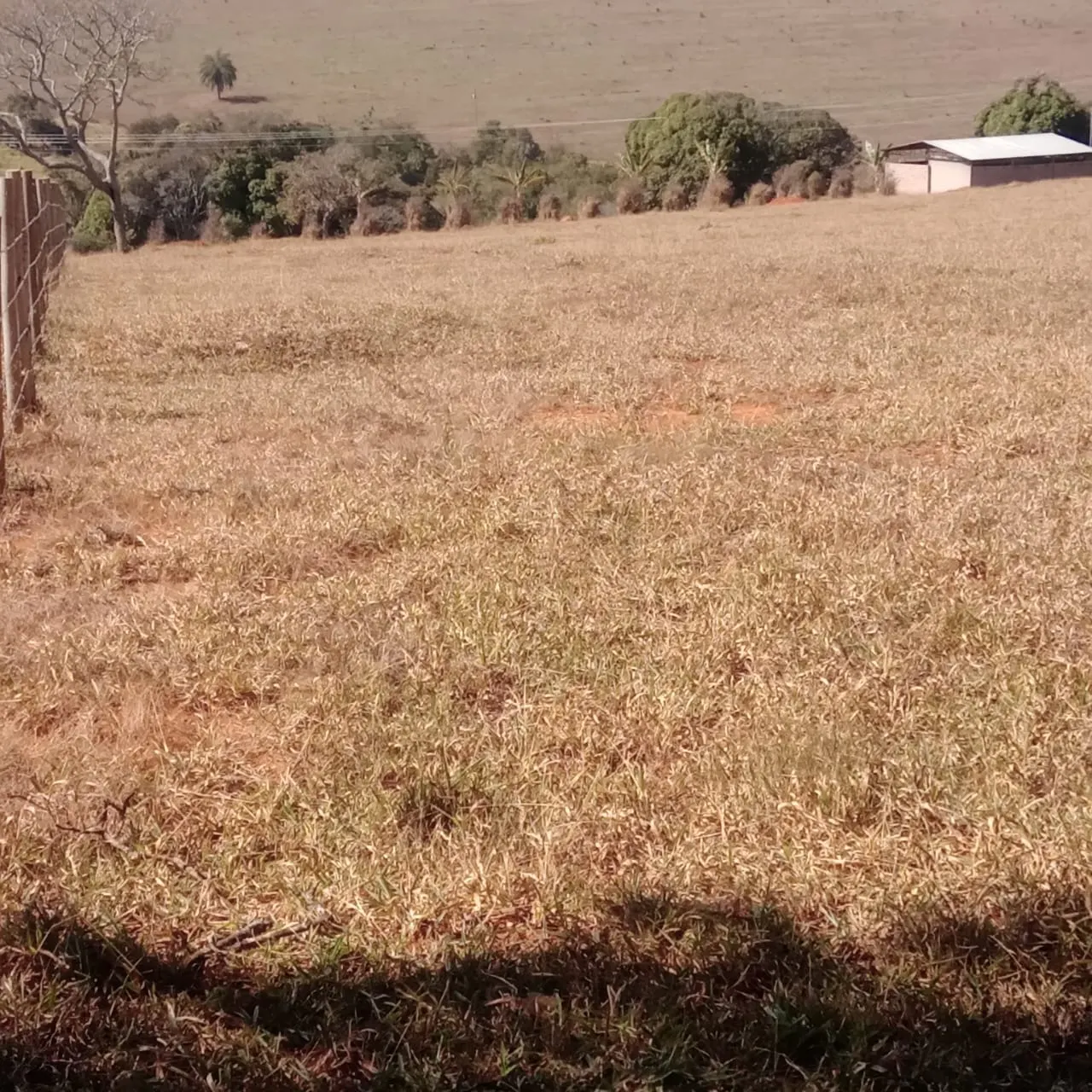 Fazenda à venda de 5 ha em Lavras, MG, Brasil