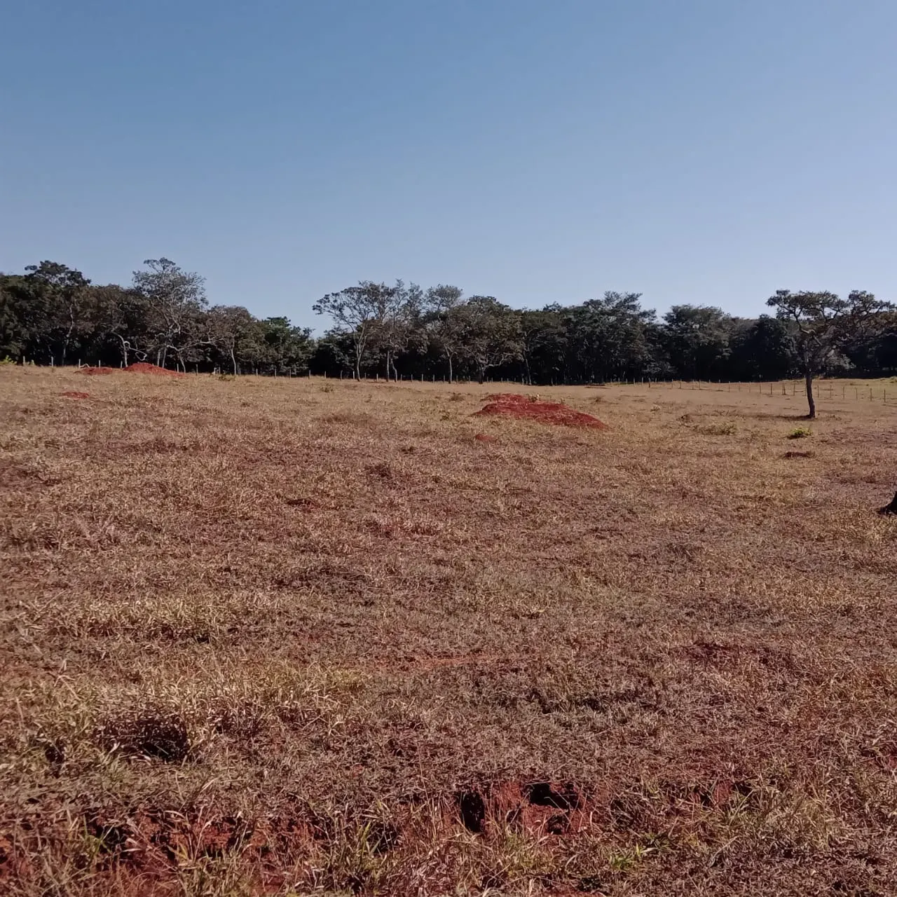Fazenda à venda de 5 ha em Lavras, MG, Brasil