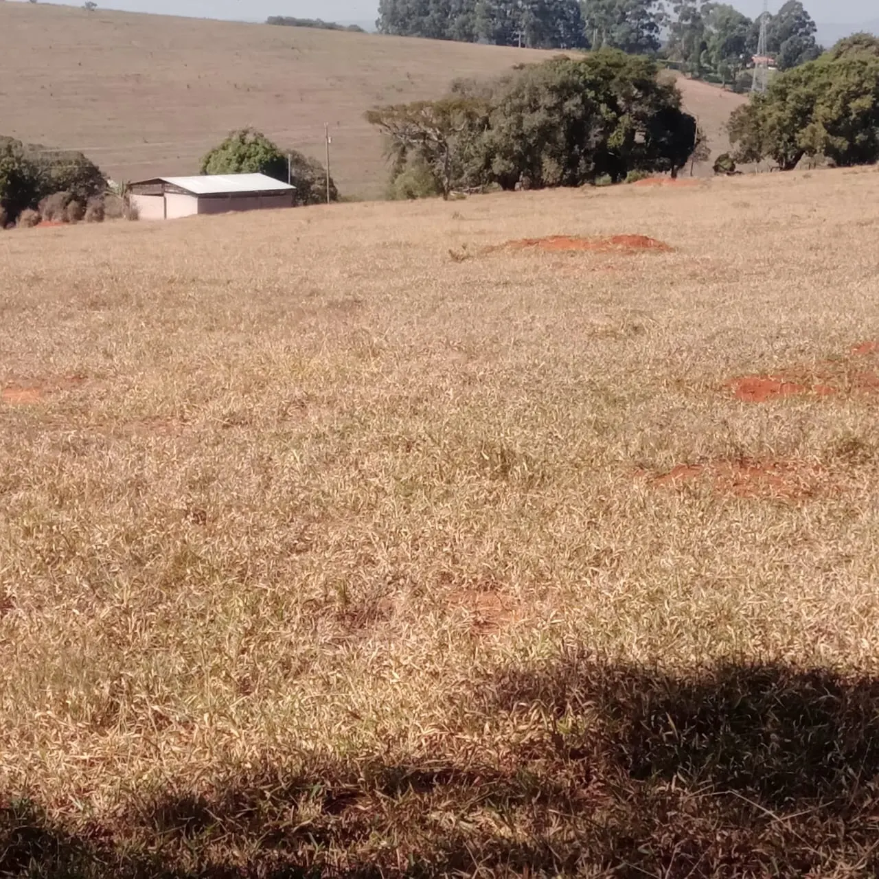 Fazenda à venda de 5 ha em Lavras, MG, Brasil