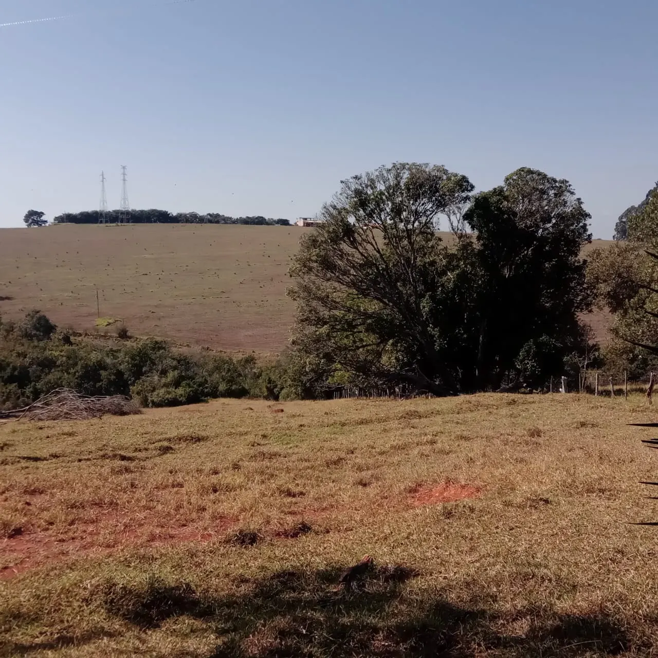 Fazenda à venda de 5 ha em Lavras, MG, Brasil