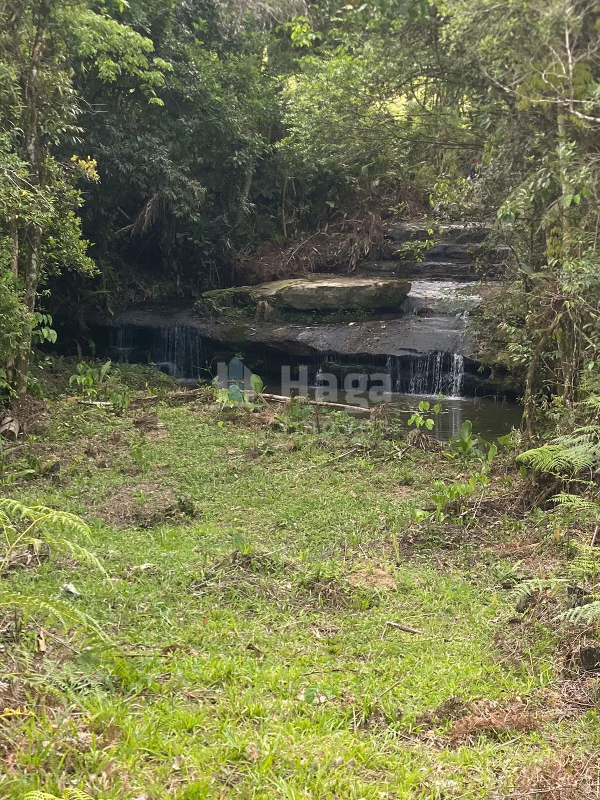 Fazenda à venda de 786 ha em Timbó, SC, Brasil