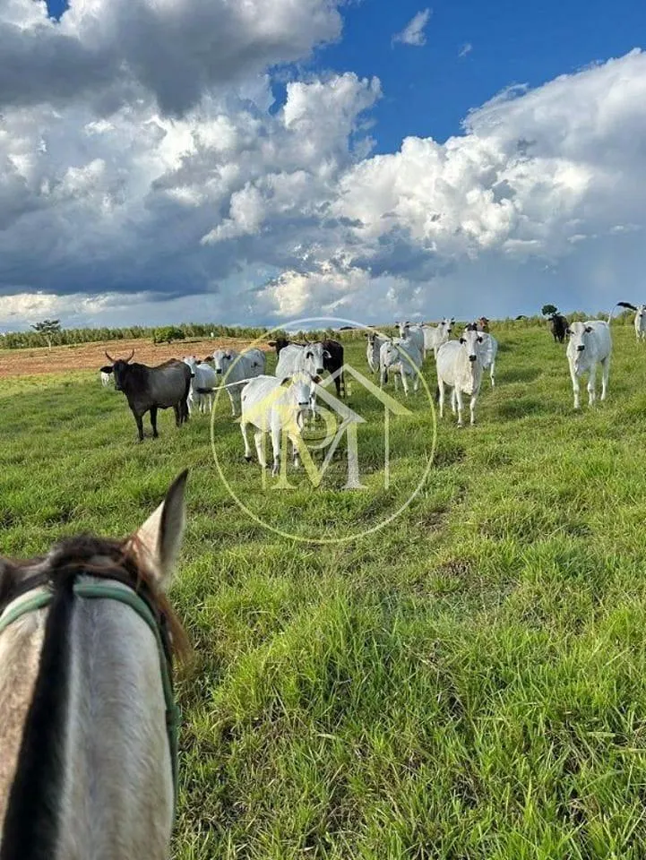 Fazenda à venda de 63 ha em Bauru, SP, Brasil