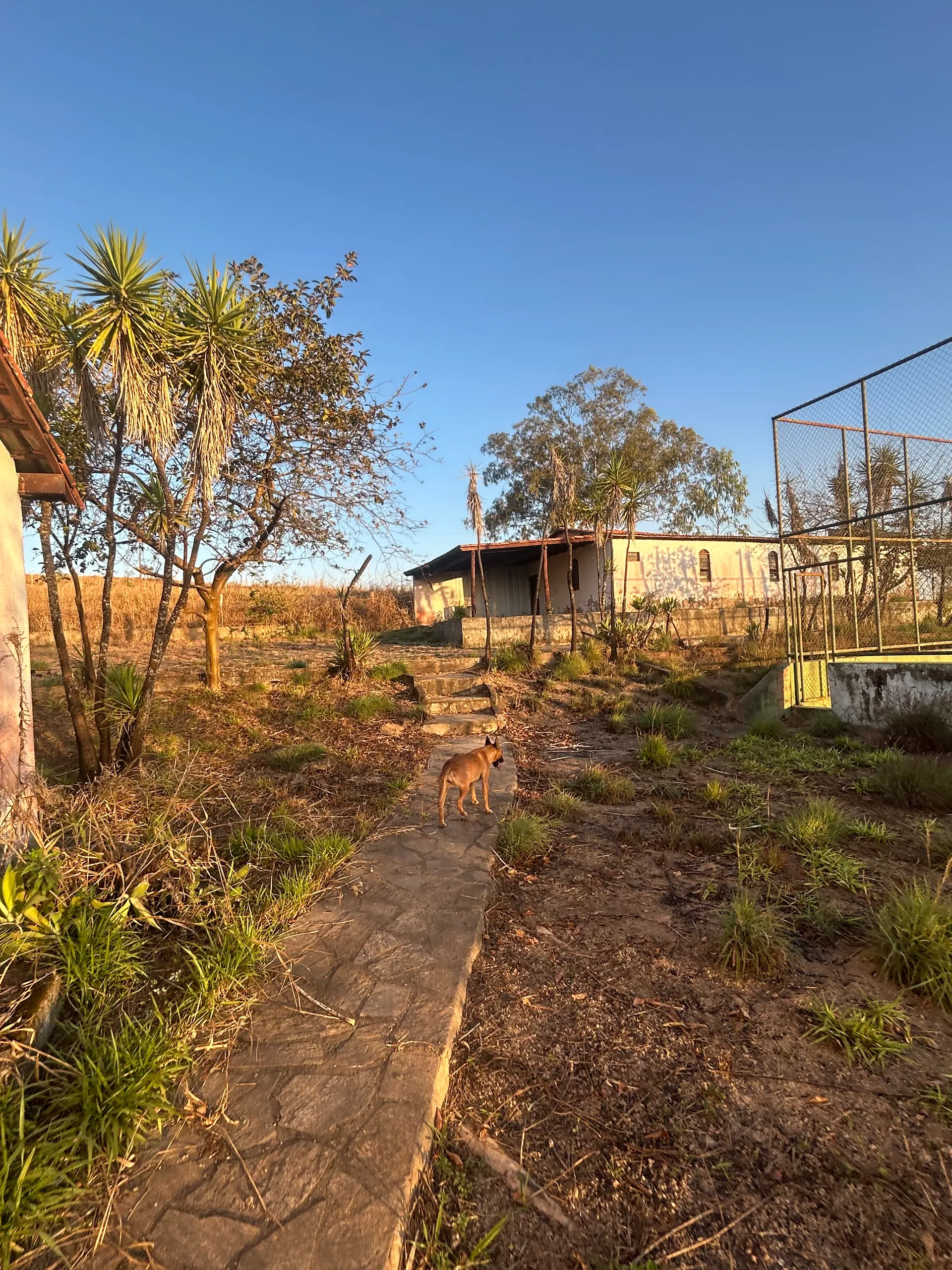 Small farm for sale of 6 acres in Cidade Ocidental, GO, Brazil