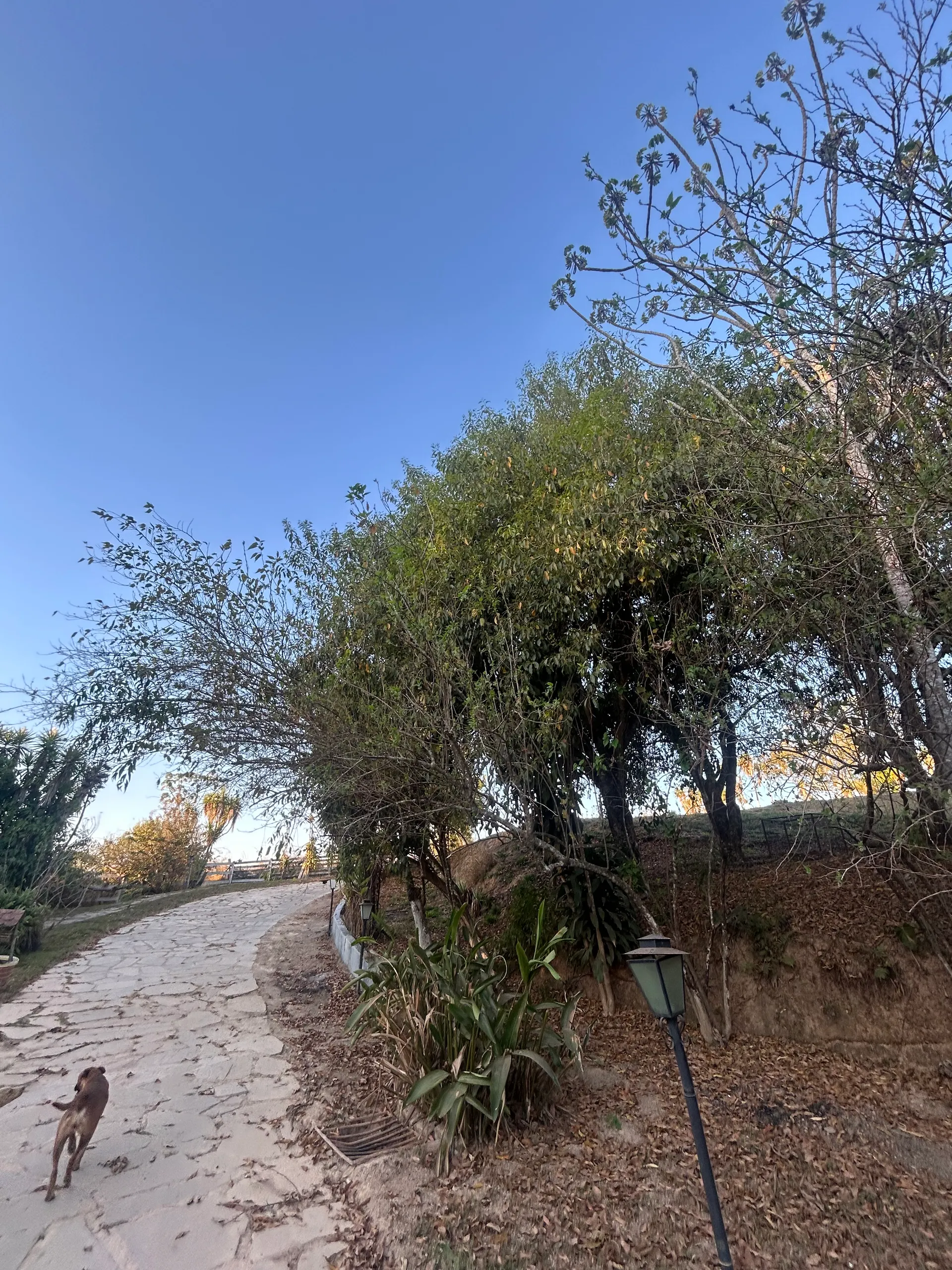 Small farm for sale of 6 acres in Cidade Ocidental, GO, Brazil