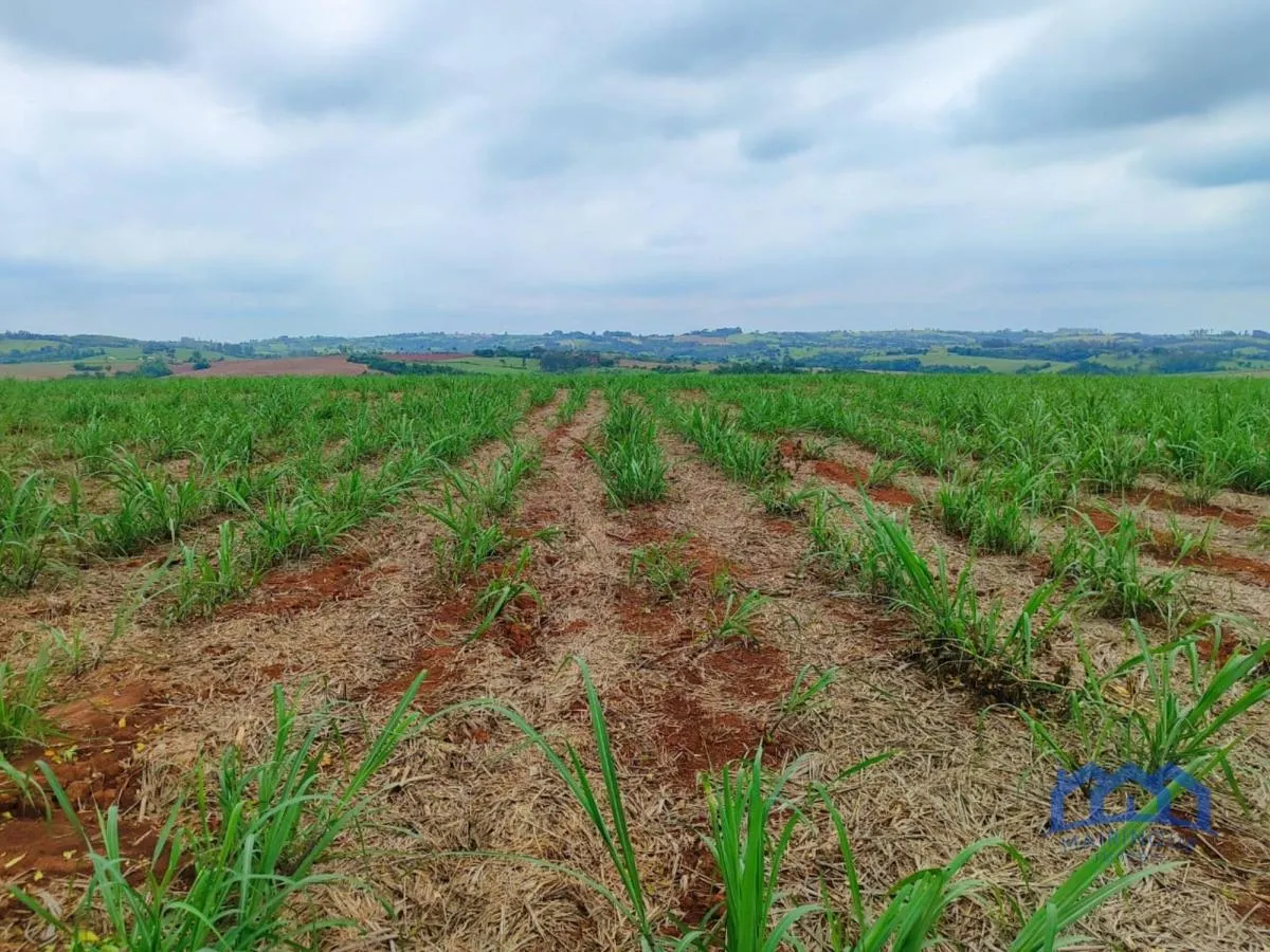 Fazenda à venda de 102 ha em Itapetininga, SP, Brasil