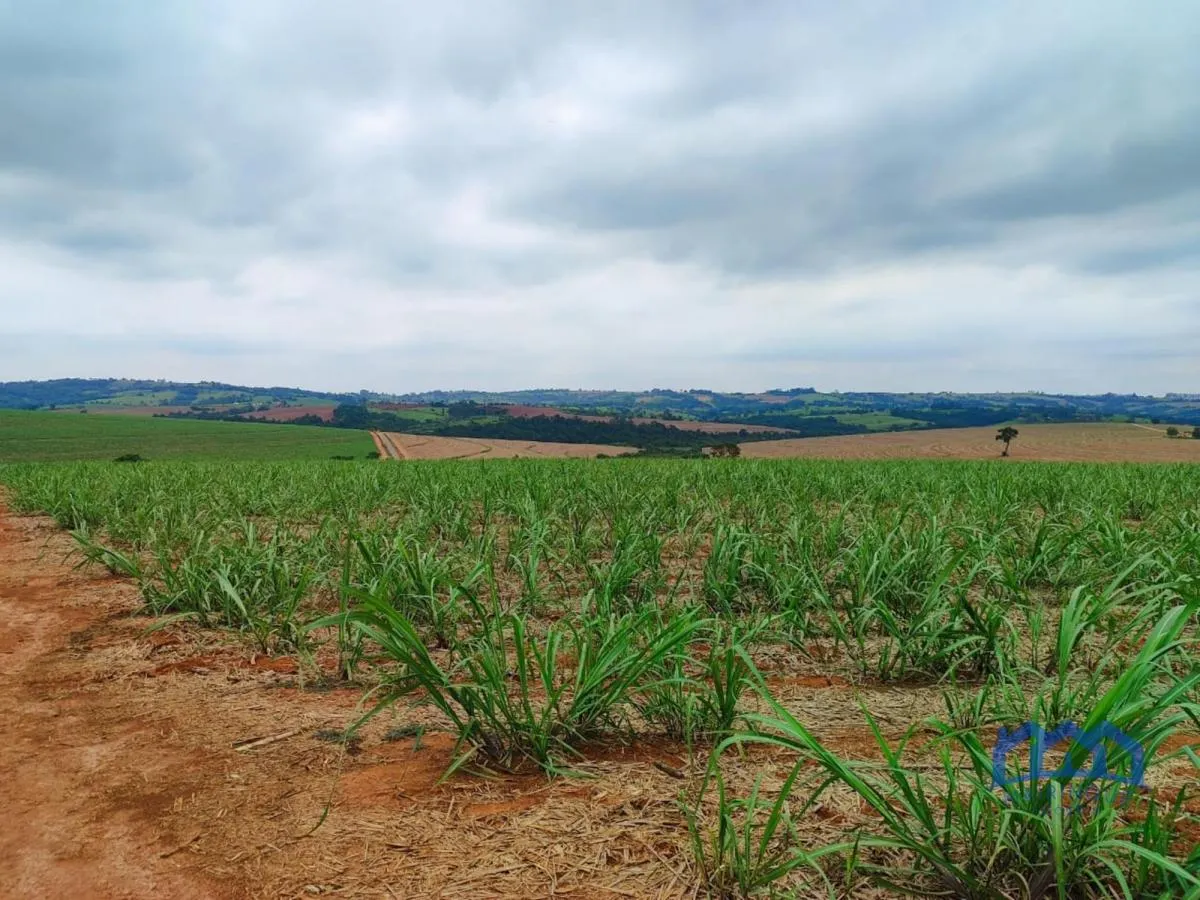 Fazenda à venda de 102 ha em Itapetininga, SP, Brasil