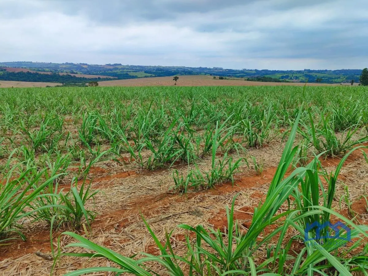 Fazenda à venda de 102 ha em Itapetininga, SP, Brasil
