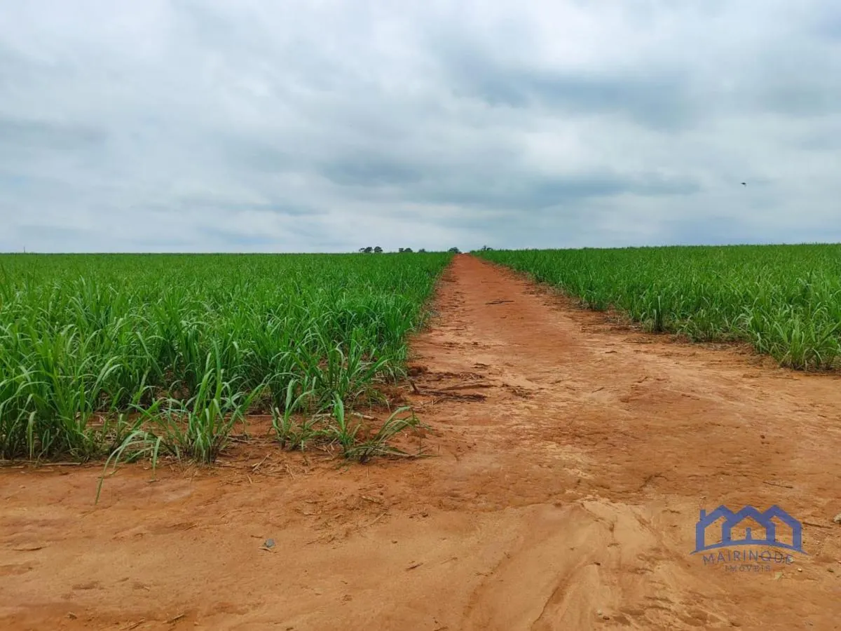 Fazenda à venda de 102 ha em Itapetininga, SP, Brasil