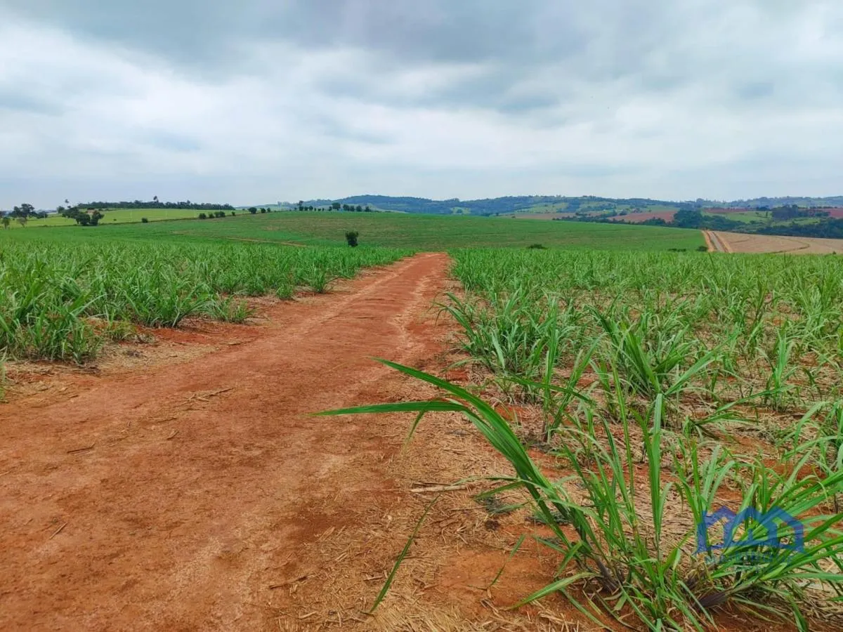 Fazenda à venda de 102 ha em Itapetininga, SP, Brasil