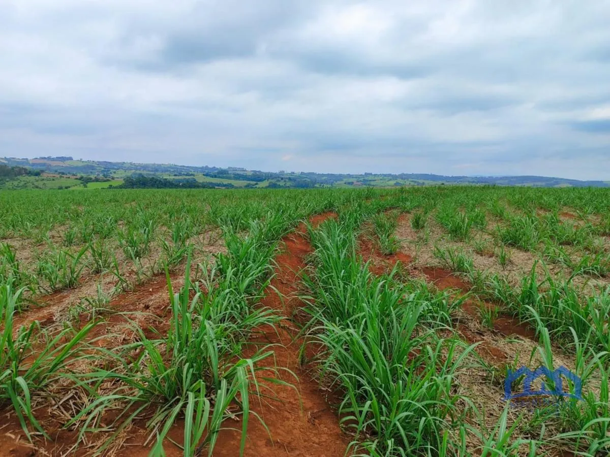 Fazenda à venda de 102 ha em Itapetininga, SP, Brasil