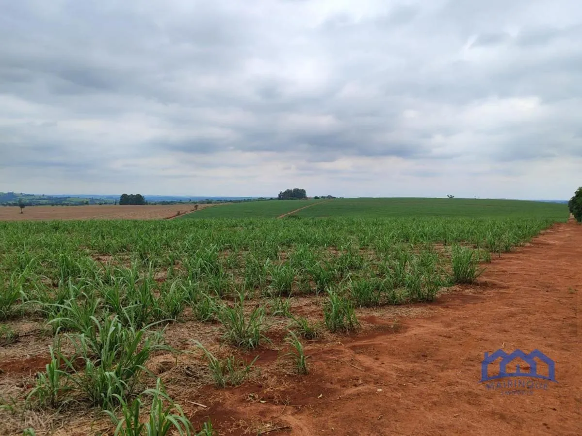 Fazenda à venda de 102 ha em Itapetininga, SP, Brasil