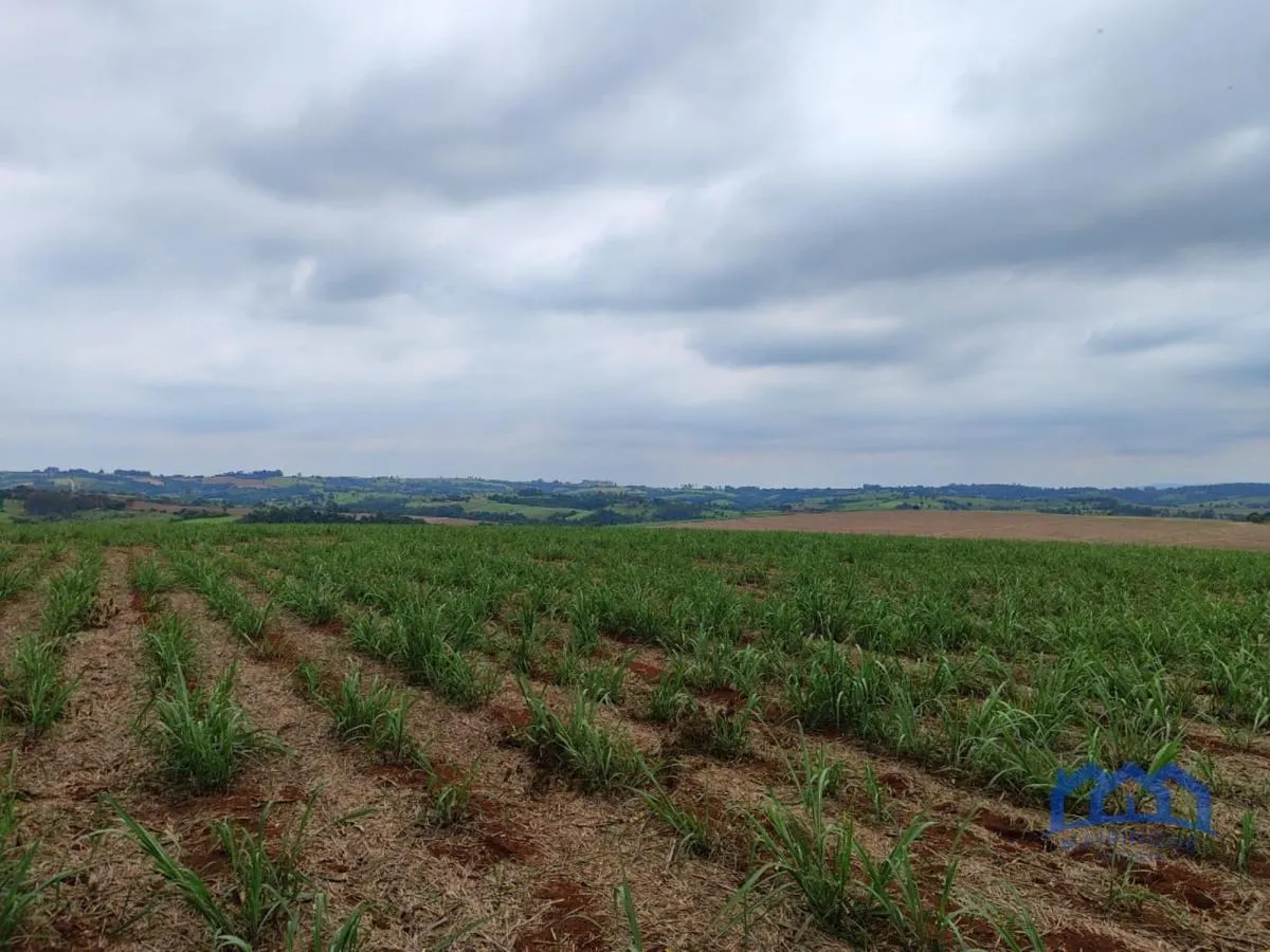 Fazenda à venda de 102 ha em Itapetininga, SP, Brasil