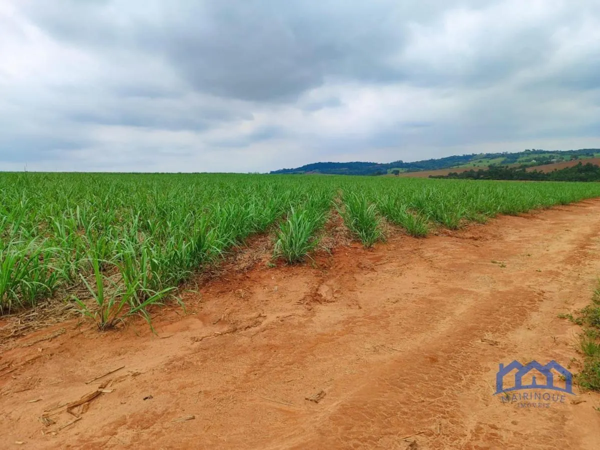 Fazenda à venda de 102 ha em Itapetininga, SP, Brasil