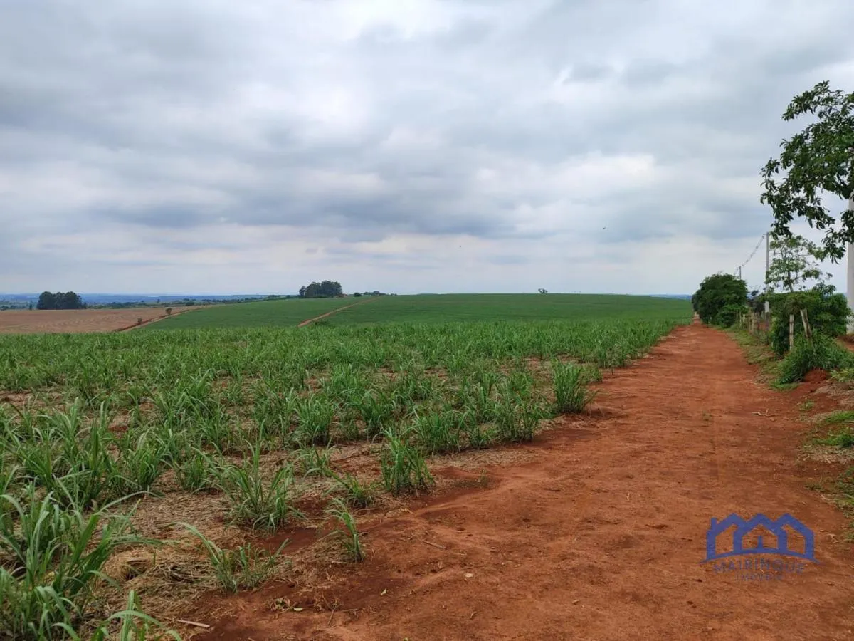 Fazenda à venda de 102 ha em Itapetininga, SP, Brasil