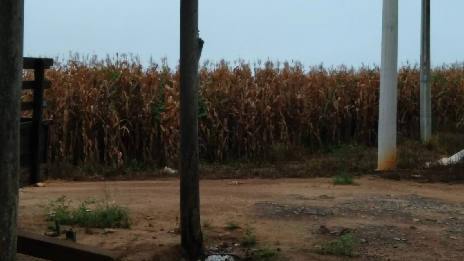 Small farm for sale of 29 acres in São Miguel Arcanjo, SP, Brazil