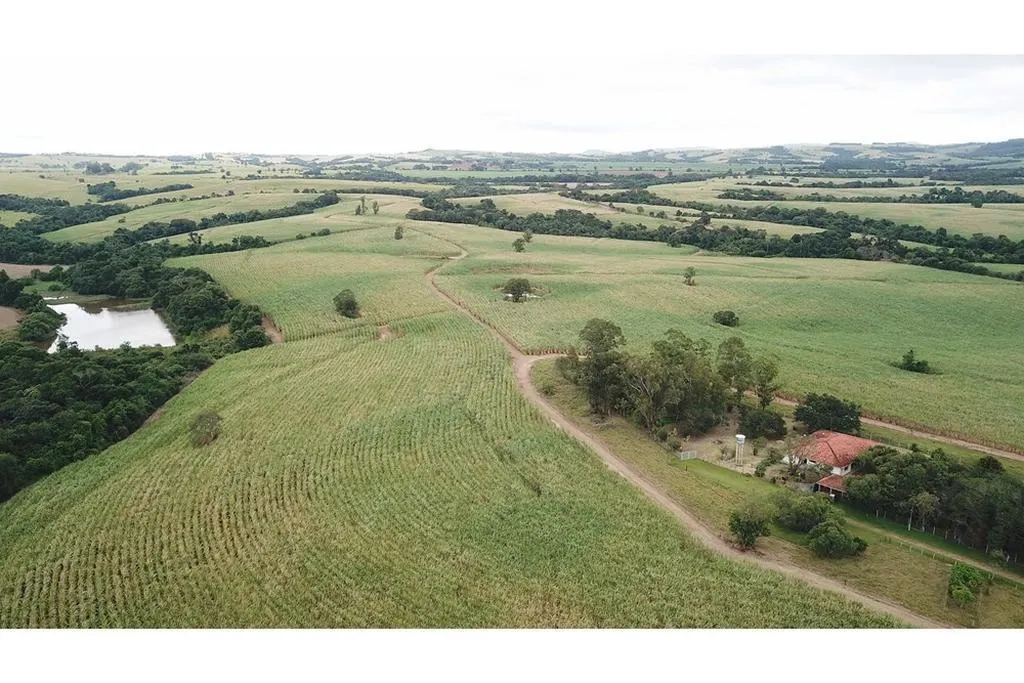 Fazenda à venda de 64 ha em Itapetininga, SP, Brasil