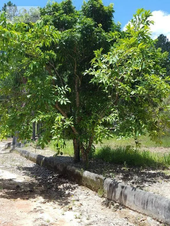 Sítio à venda de 22 ha em São José dos Campos, SP, Brasil