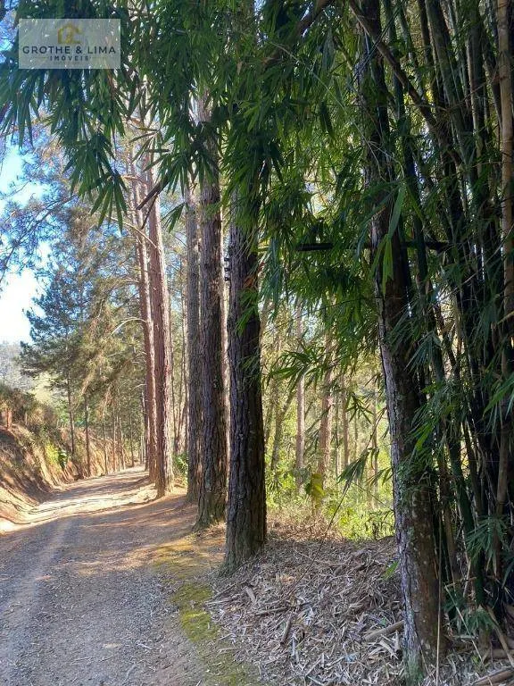 Sítio à venda de 22 ha em São José dos Campos, SP, Brasil