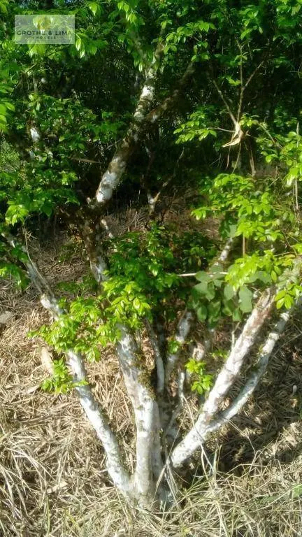 Sítio à venda de 22 ha em São José dos Campos, SP, Brasil