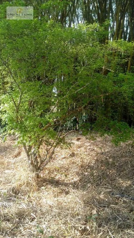 Sítio à venda de 22 ha em São José dos Campos, SP, Brasil