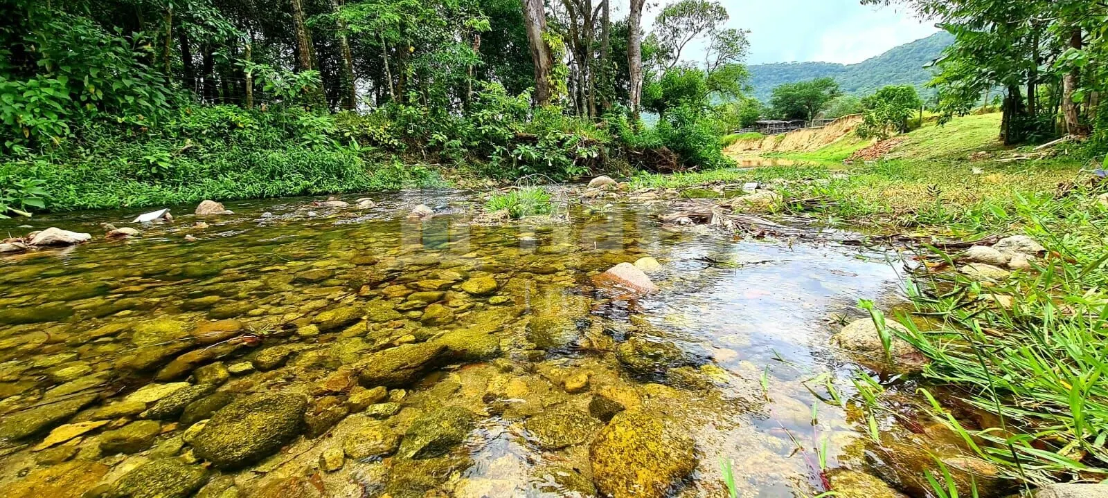 Farm for sale of 2,500 m² in Tijucas, SC, Brazil