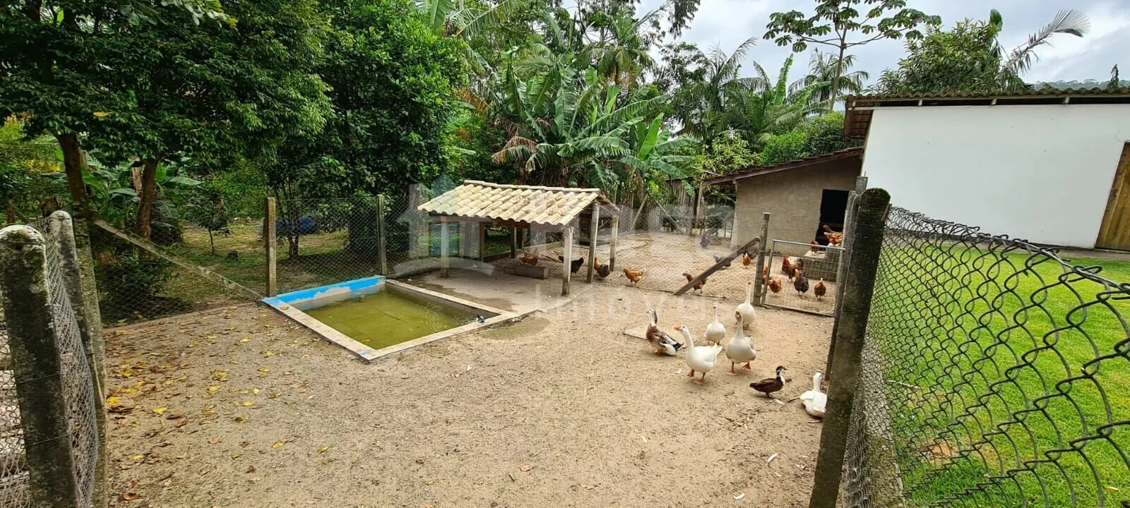 Farm for sale of 2,500 m² in Tijucas, SC, Brazil