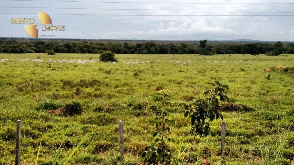 Fazenda à venda de 15.000 ha em Cuiabá, MT, Brasil