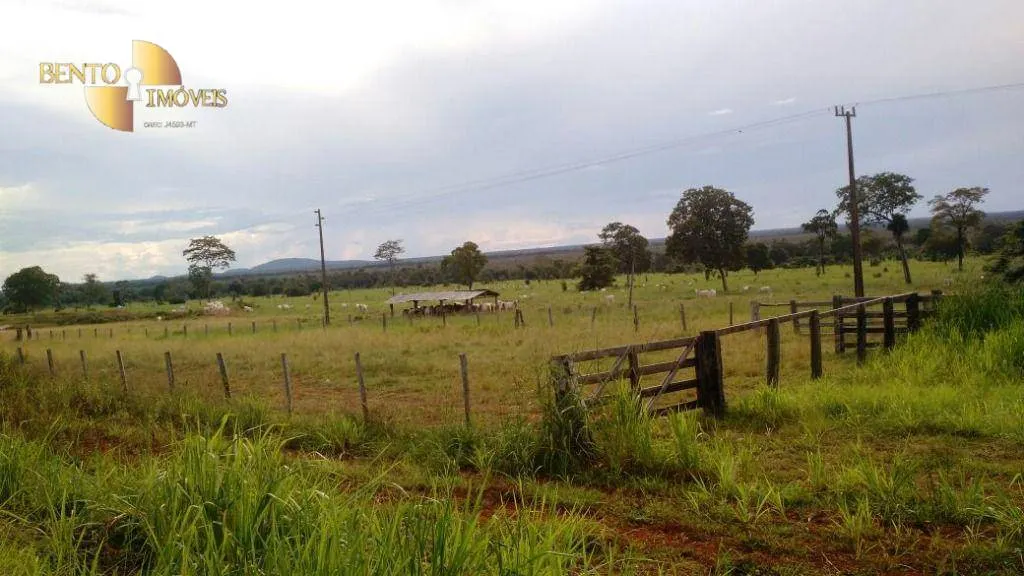 Fazenda à venda de 15.000 ha em Cuiabá, MT, Brasil