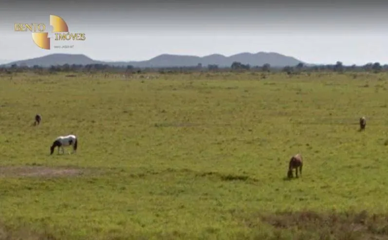 Fazenda à venda de 15.000 ha em Cuiabá, MT, Brasil