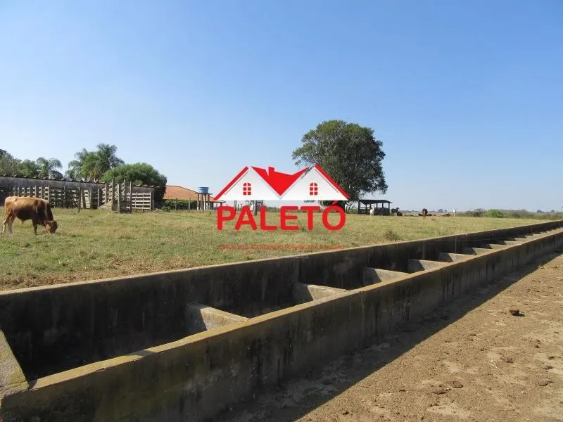Sítio à venda de 5 ha em Pereiras, SP, Brasil
