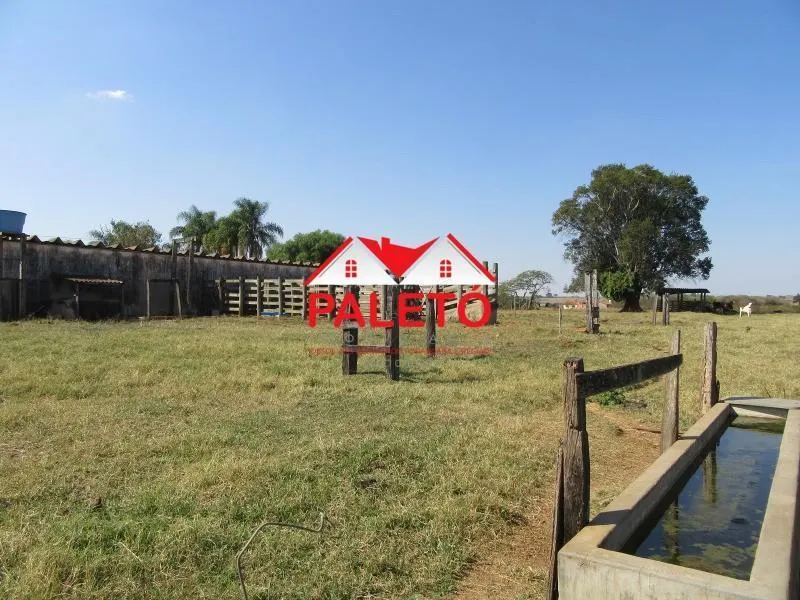 Sítio à venda de 5 ha em Pereiras, SP, Brasil