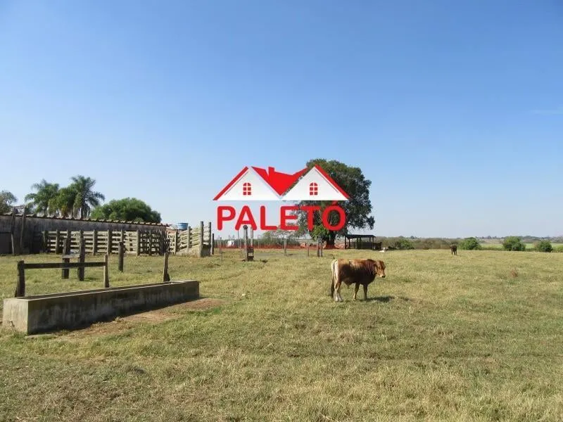 Sítio à venda de 5 ha em Pereiras, SP, Brasil