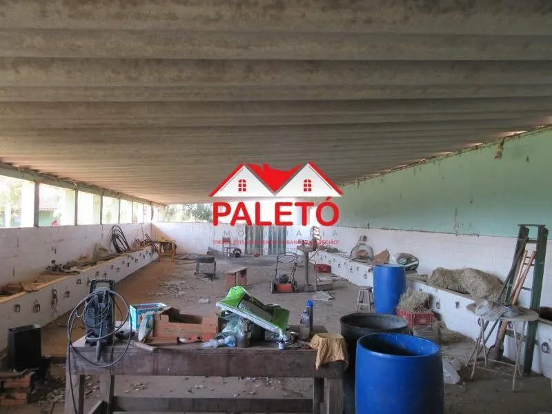 Sítio à venda de 5 ha em Pereiras, SP, Brasil