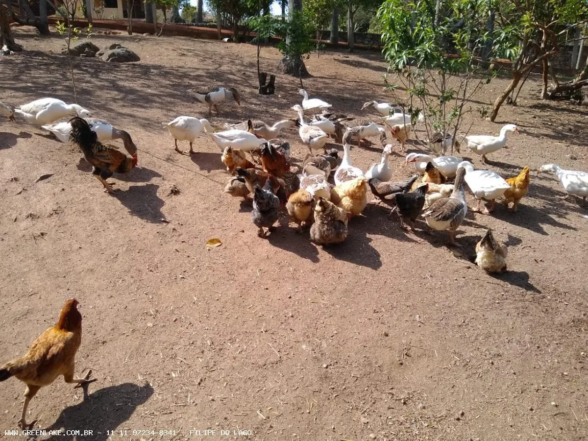 Fazenda à venda de 155 ha em Amparo, SP, Brasil