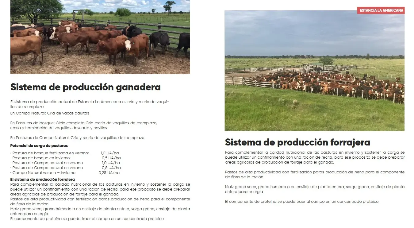 Comercial para Alugar de 30.988 ha em Fuerte Olimpo, Paraguai