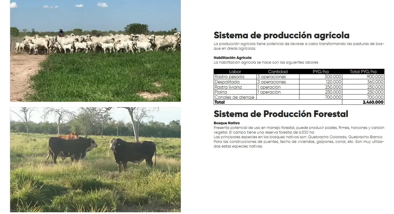 Comercial para Alugar de 30.988 ha em Fuerte Olimpo, Paraguai