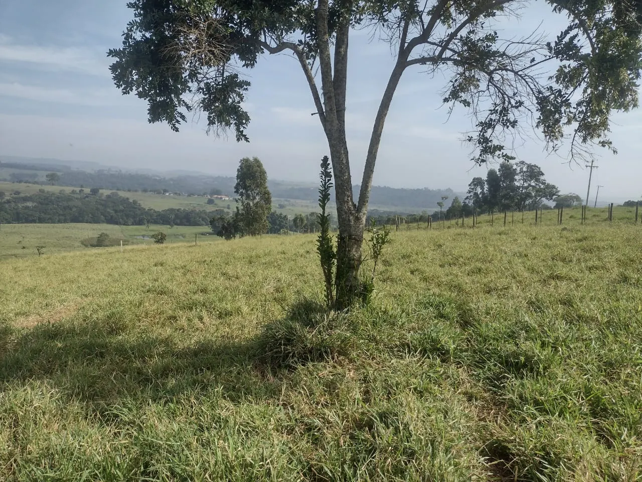 Small farm for sale of 69 acres in Itapetininga, SP, Brazil