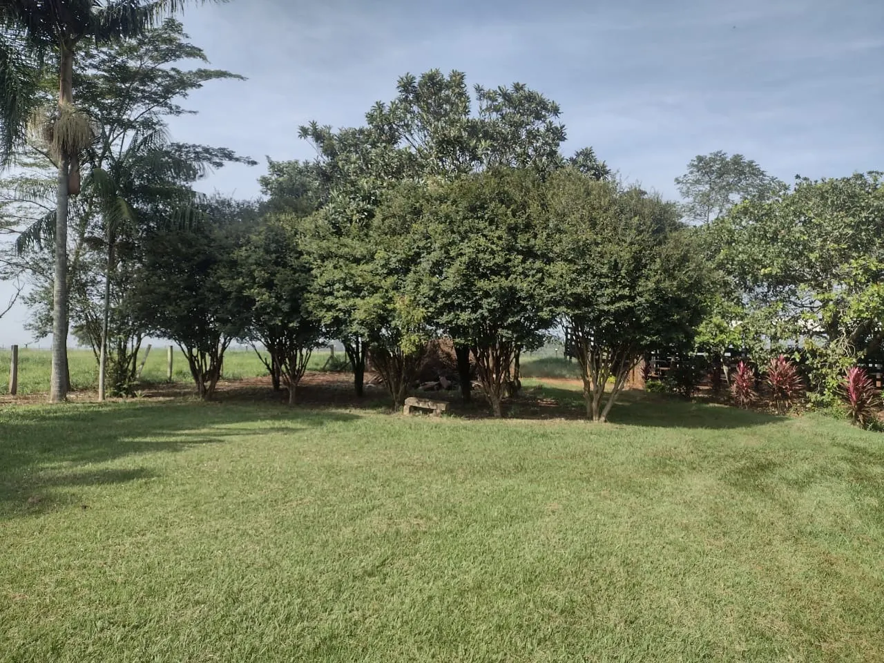 Small farm for sale of 69 acres in Itapetininga, SP, Brazil