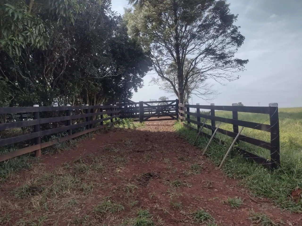 Small farm for sale of 69 acres in Itapetininga, SP, Brazil