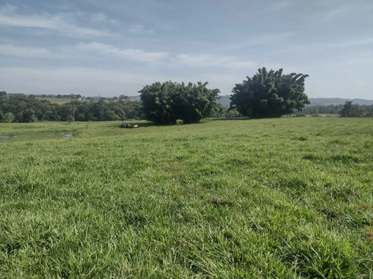 Small farm for sale of 69 acres in Itapetininga, SP, Brazil