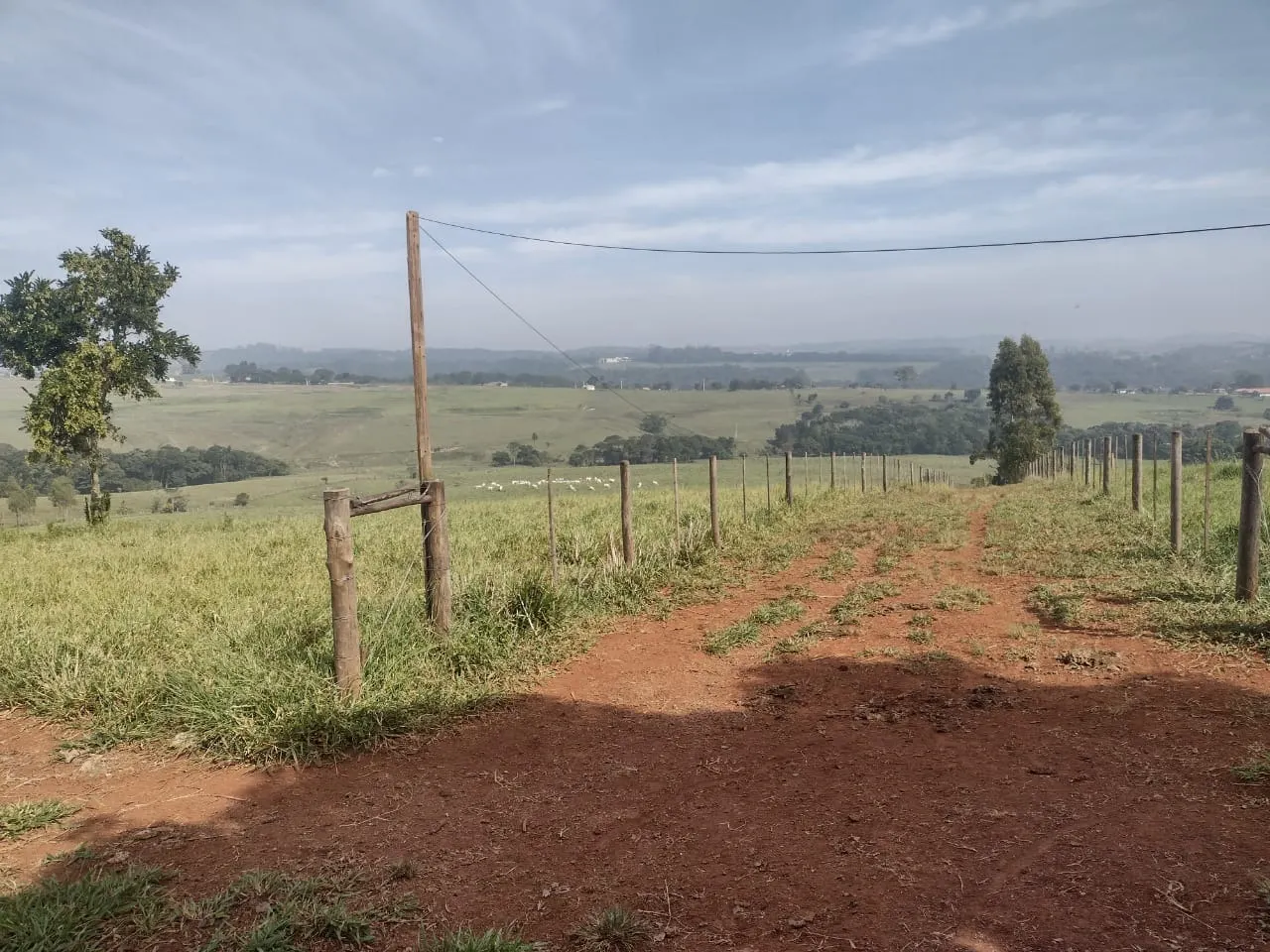 Small farm for sale of 69 acres in Itapetininga, SP, Brazil