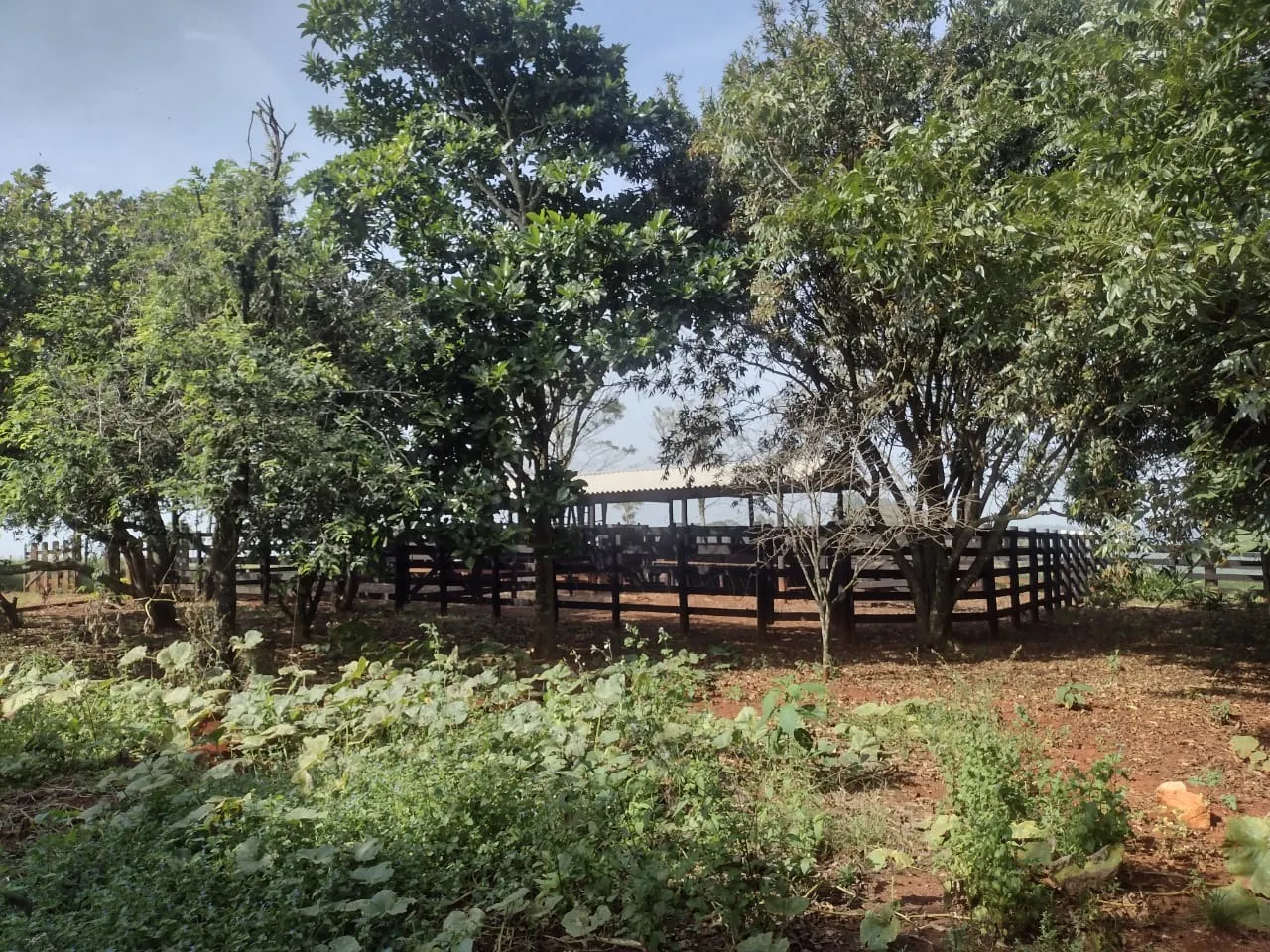 Small farm for sale of 69 acres in Itapetininga, SP, Brazil