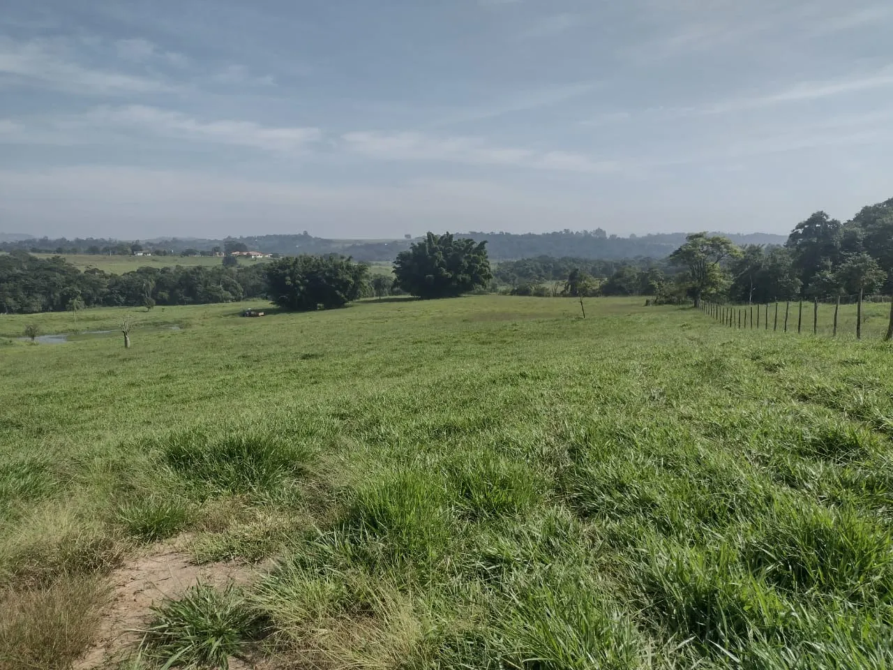 Small farm for sale of 69 acres in Itapetininga, SP, Brazil