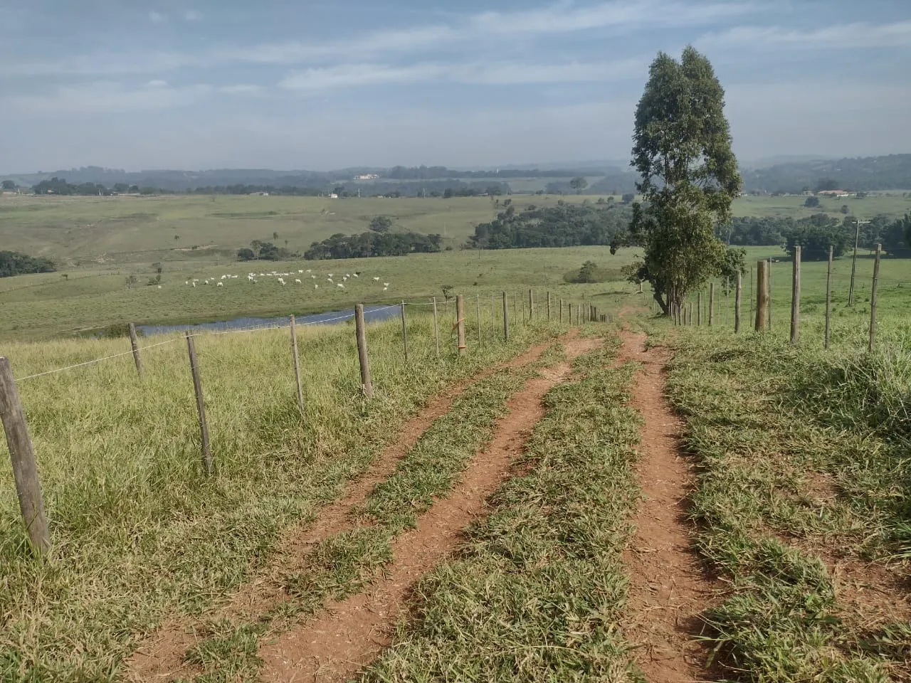 Small farm for sale of 69 acres in Itapetininga, SP, Brazil