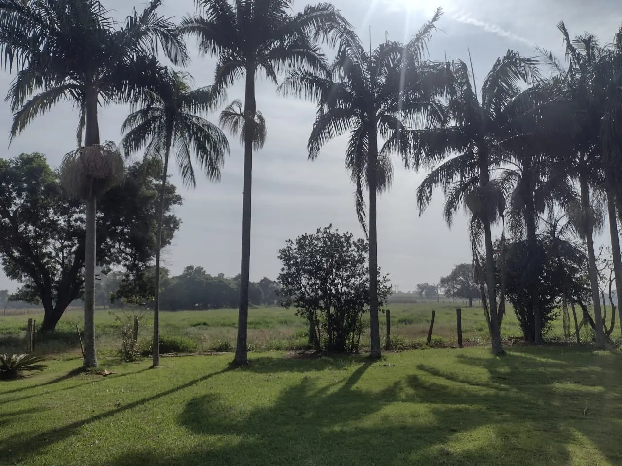 Small farm for sale of 69 acres in Itapetininga, SP, Brazil