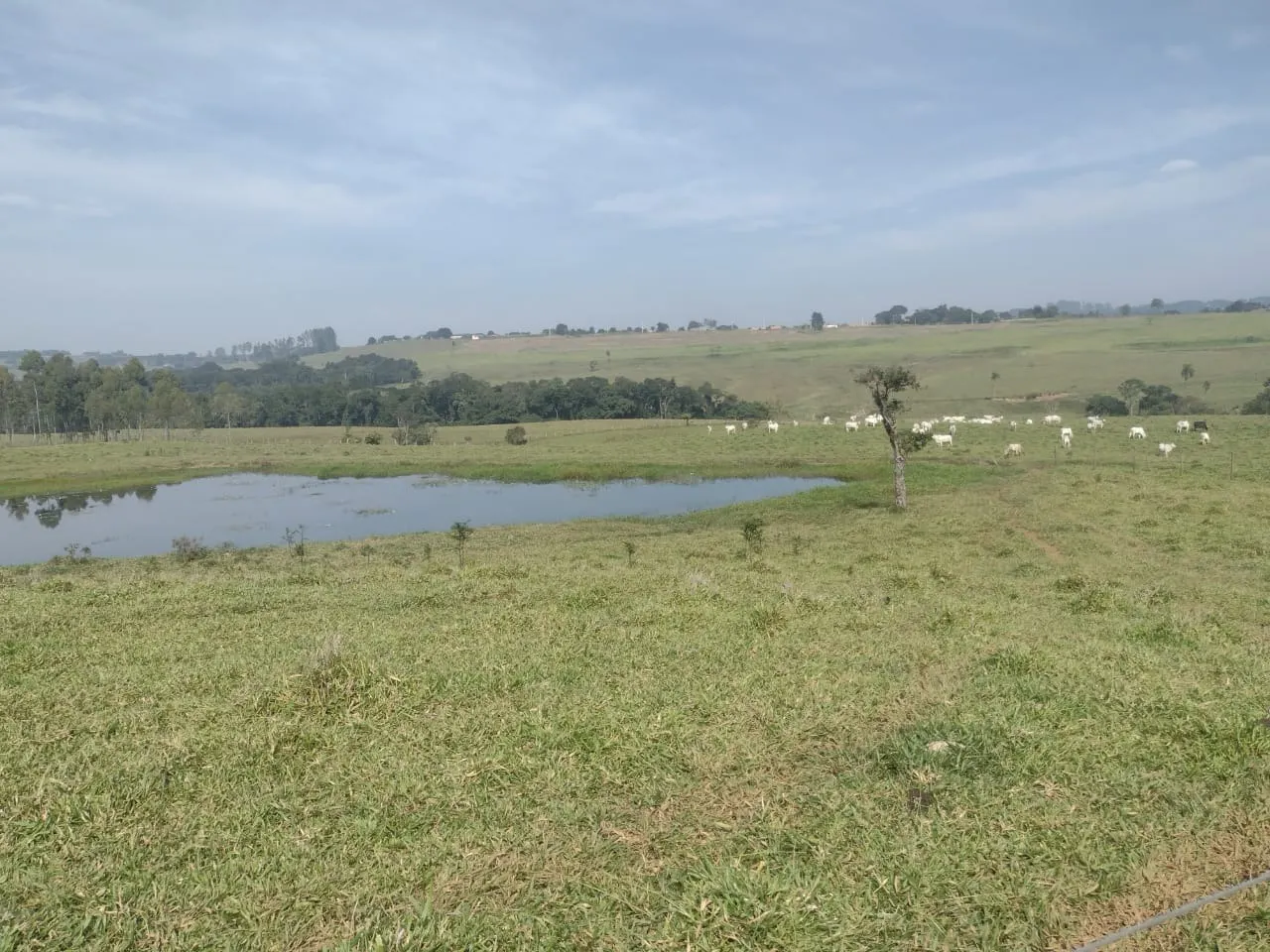 Small farm for sale of 69 acres in Itapetininga, SP, Brazil